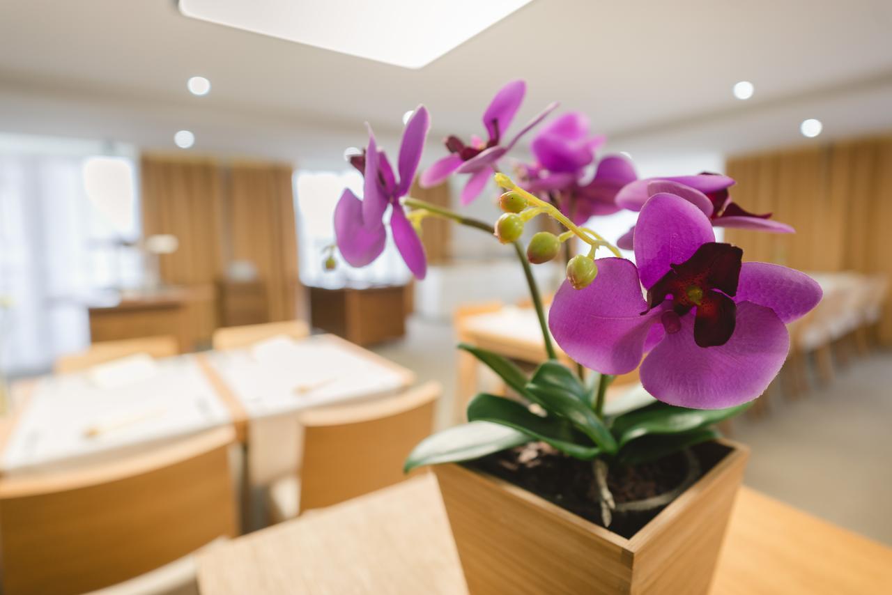 Village Resort Hanuliak Belá 外观 照片
